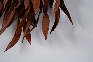 détail 2 - Sève/feu, 2014